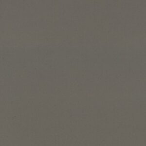 Fossil Gray