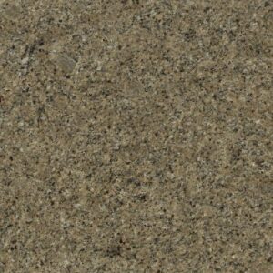 New Venetian Gold